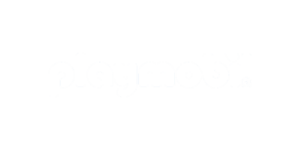 Playmobil